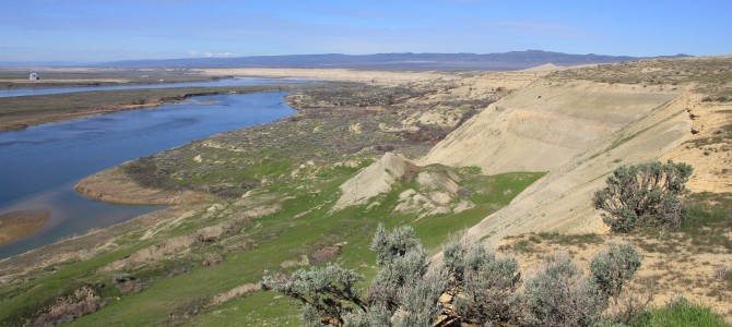 Hanford Reach National Monument: White Bluffs North & South, March 2016 Hanford Reach National Monument: White Bluffs North & South, March 2016