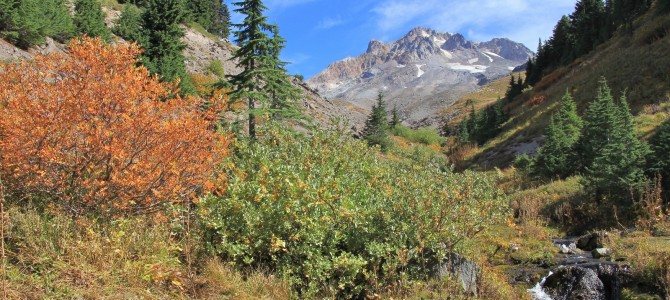 Mt. Hood: Paradise Park, September 2015 Mt. Hood: Paradise Park, September 2015