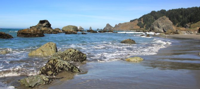 Oregon Coast: Boardman State Scenic Corridor (South), Sept 2016 Oregon Coast: Boardman State Scenic Corridor (South), Sept 2016