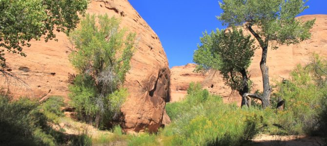 Desert Oasis: Backpacking Utah’s Coyote Gulch Day 1, Sept 2016 Desert Oasis: Backpacking Utah’s Coyote Gulch Day 1, Sept 2016