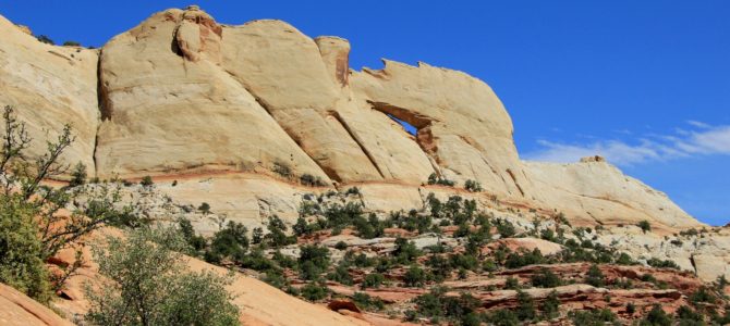 Capitol Reef National Park’s Upper Muley Twist, April 2017 Capitol Reef National Park’s Upper Muley Twist, April 2017