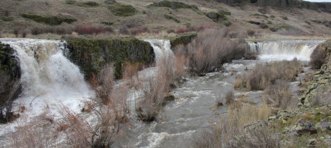 Late Winter Flooding: Eastern Washington’s Towell Falls, March 2017 Late Winter Flooding: Eastern Washington’s Towell Falls, March 2017