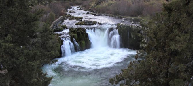 Central Oregon’s Steelhead Falls, April 2018 Central Oregon’s Steelhead Falls, April 2018