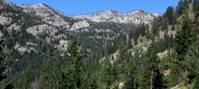 Oregon’s Eagle Cap Wilderness: Main Eagle Backpack day 4 (return to civilization), July 2018 Oregon’s Eagle Cap Wilderness: Main Eagle Backpack day 4 (return to civilization), July 2018