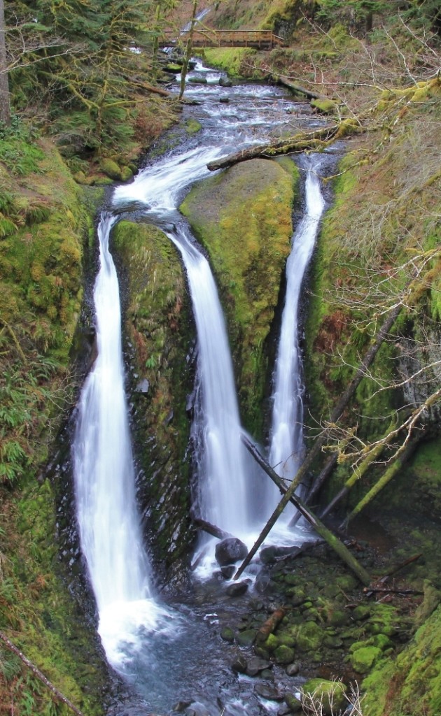 03-10-13 Gorge trip day 2 (32)