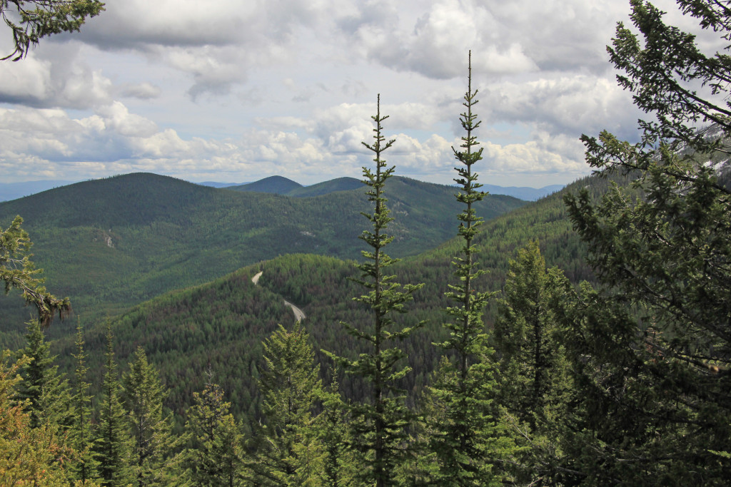 05-24-14 Sherman Pass - Columbia Mtn Hike (18)