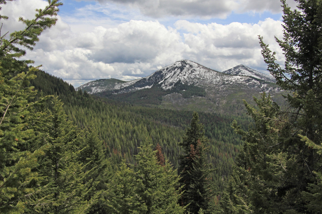 05-24-14 Sherman Pass - Columbia Mtn Hike (30)