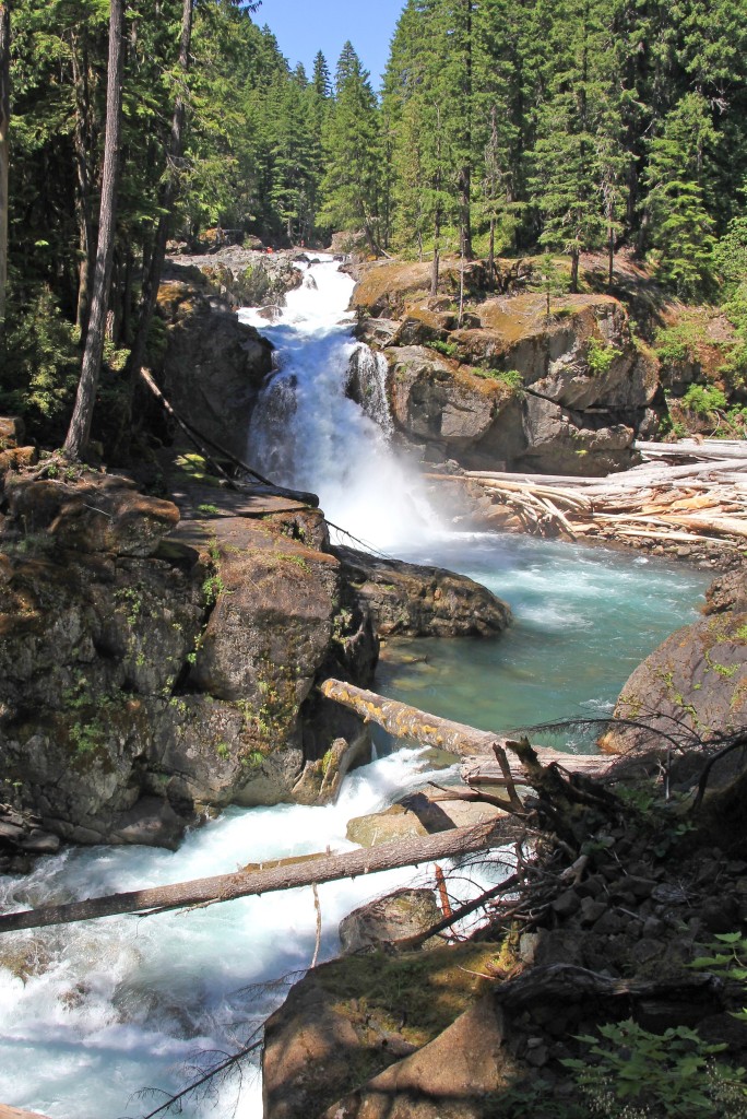 07-16-14 Rainier Trip (19)