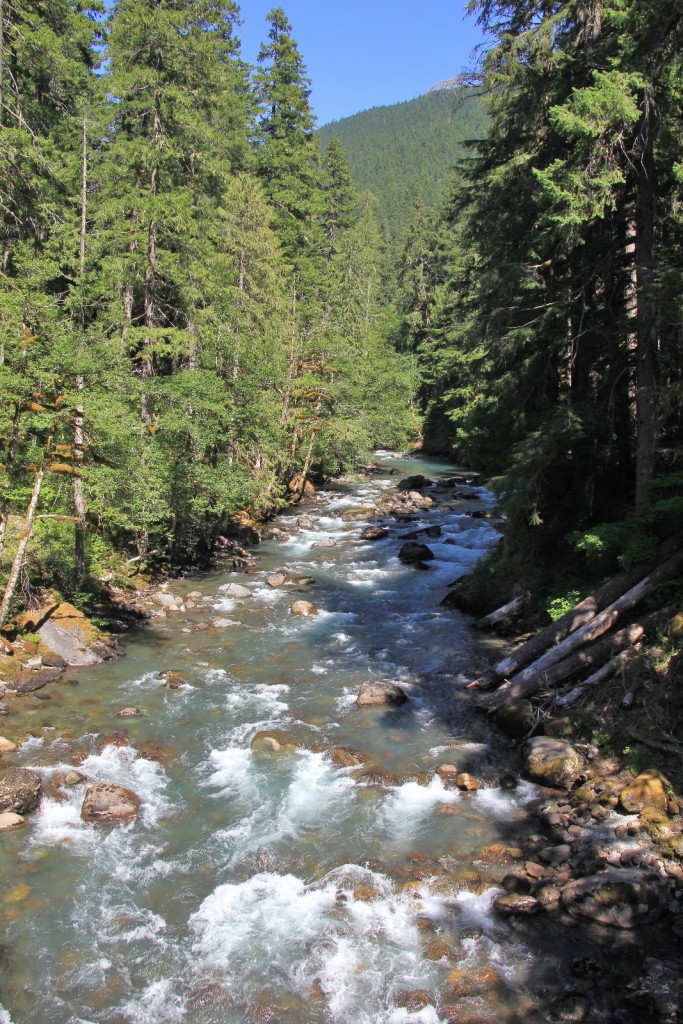 07-16-14 Rainier Trip (21)