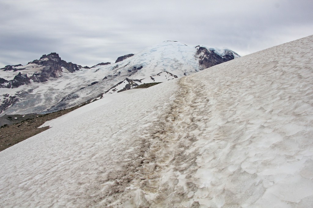 07-18-14 Mt. Rainier Trip (36)