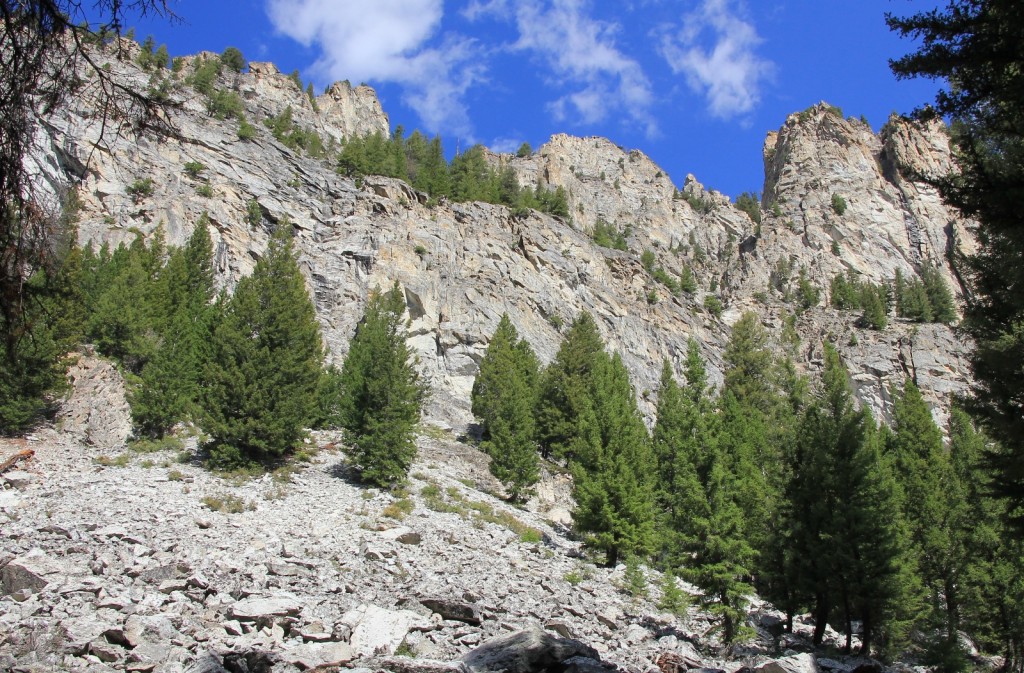 08-15-14 Sawtooths Alice Lake Hike (27)