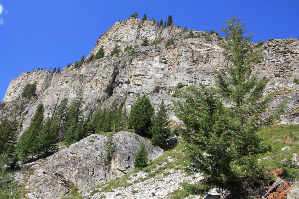 08-15-14 Sawtooths Alice Lake Hike (49)