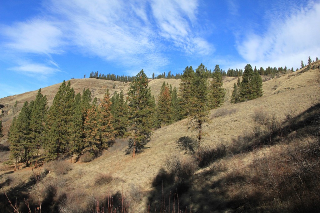 01-25-15 Wenaha River HIke (25)