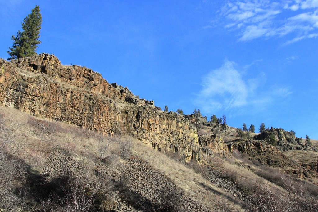 01-25-15 Wenaha River HIke (70)