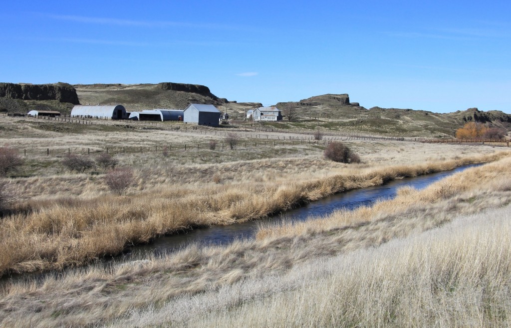 Escure Ranch on Rock Creek