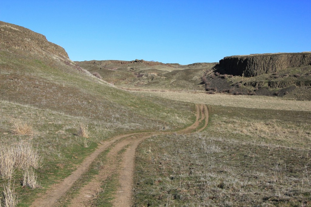 the trail follows this old rancher road