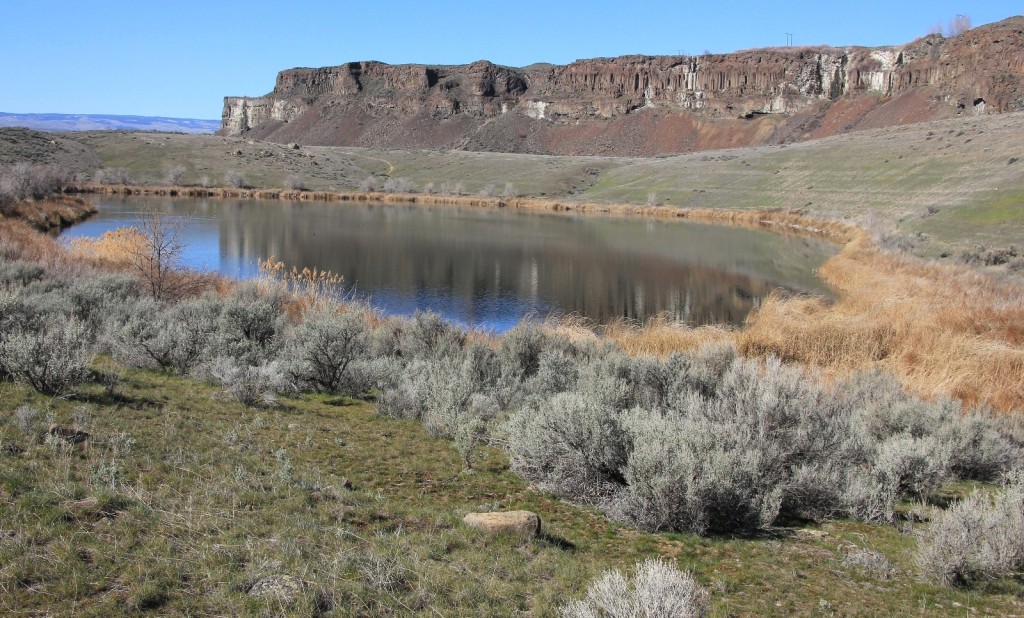 03-07-15 Ancient & Dusty Lakes (34)