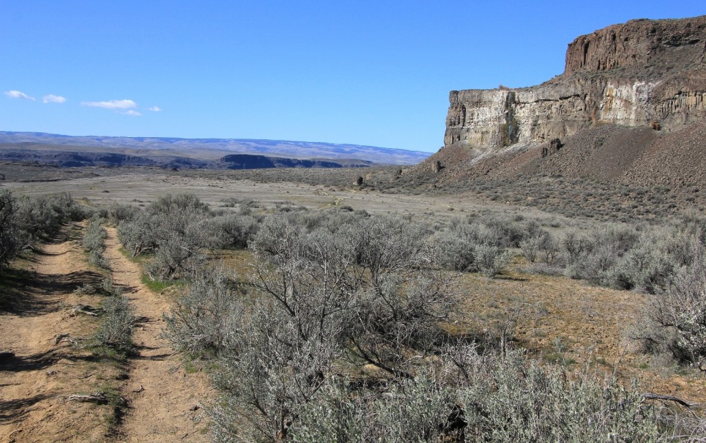 03-07-15 Ancient & Dusty Lakes (37)