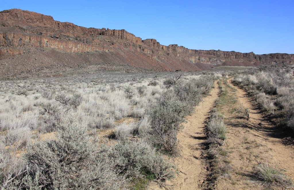 03-07-15 Ancient & Dusty Lakes (40)