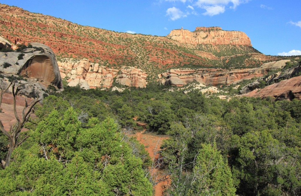 looking back up at Cathedral Butte TH from bottom of canyon