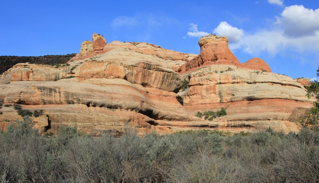 typical Salt Creek canyon view