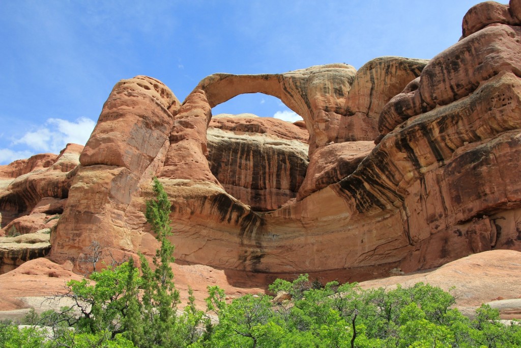 Wedding Ring Arch