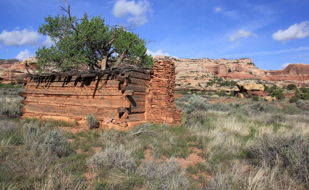 Kirk's cabin