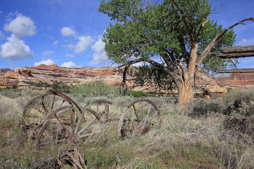 remains of Kirk's wagon