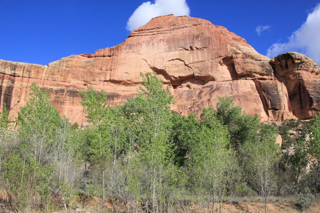 view from Angel Arch Camp