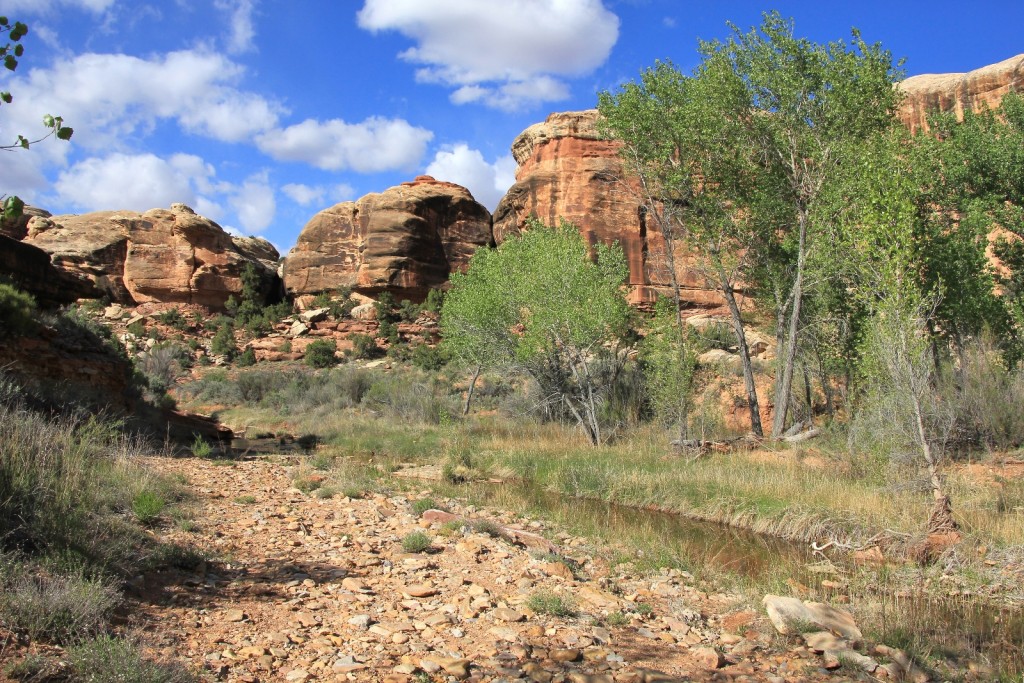 Salt Creek near camp