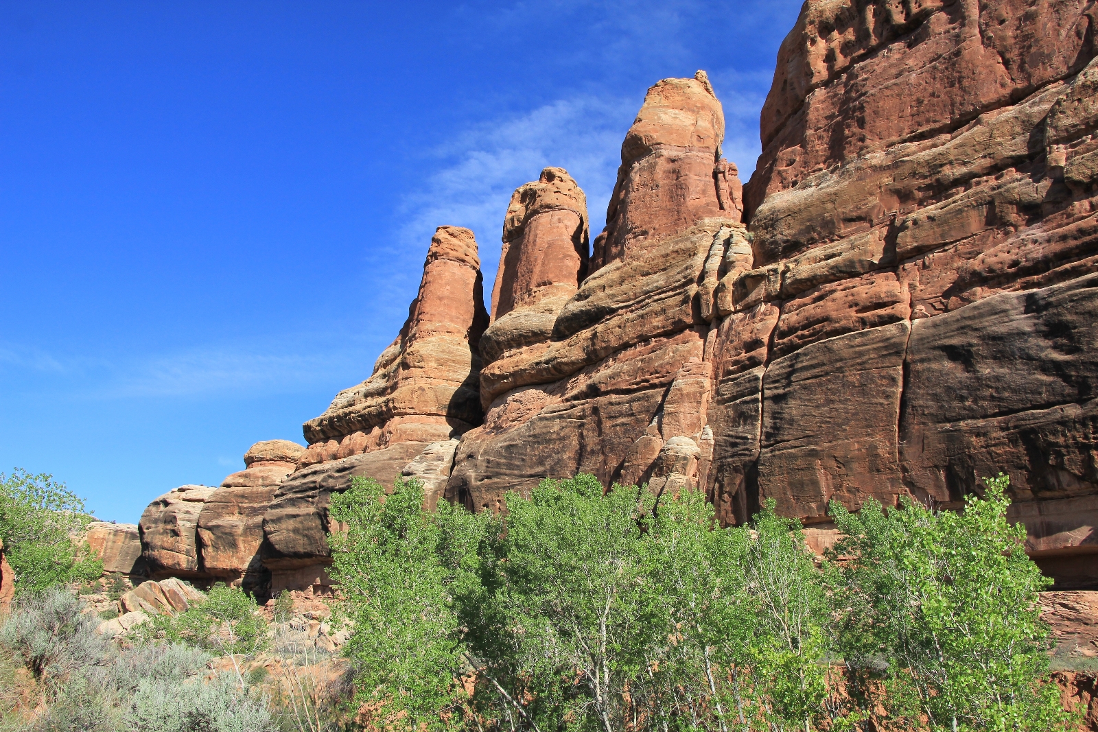 Salt Rocks Utah Utah’s Canyonlands National Park: Salt Creek Backpack, May 2015 – Evans ...