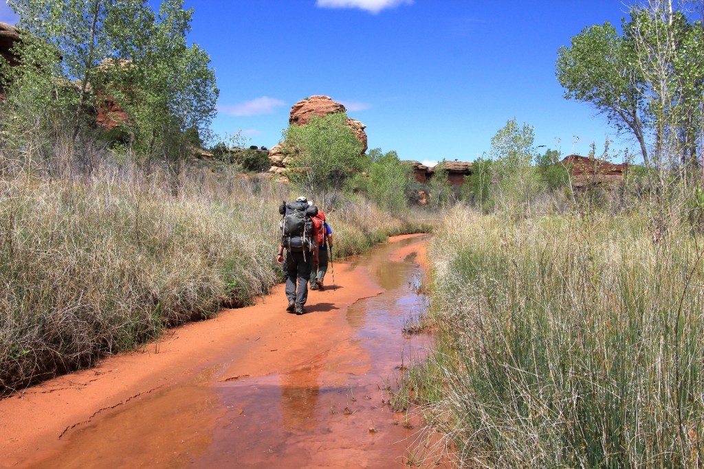 final stretch along Salt Creek