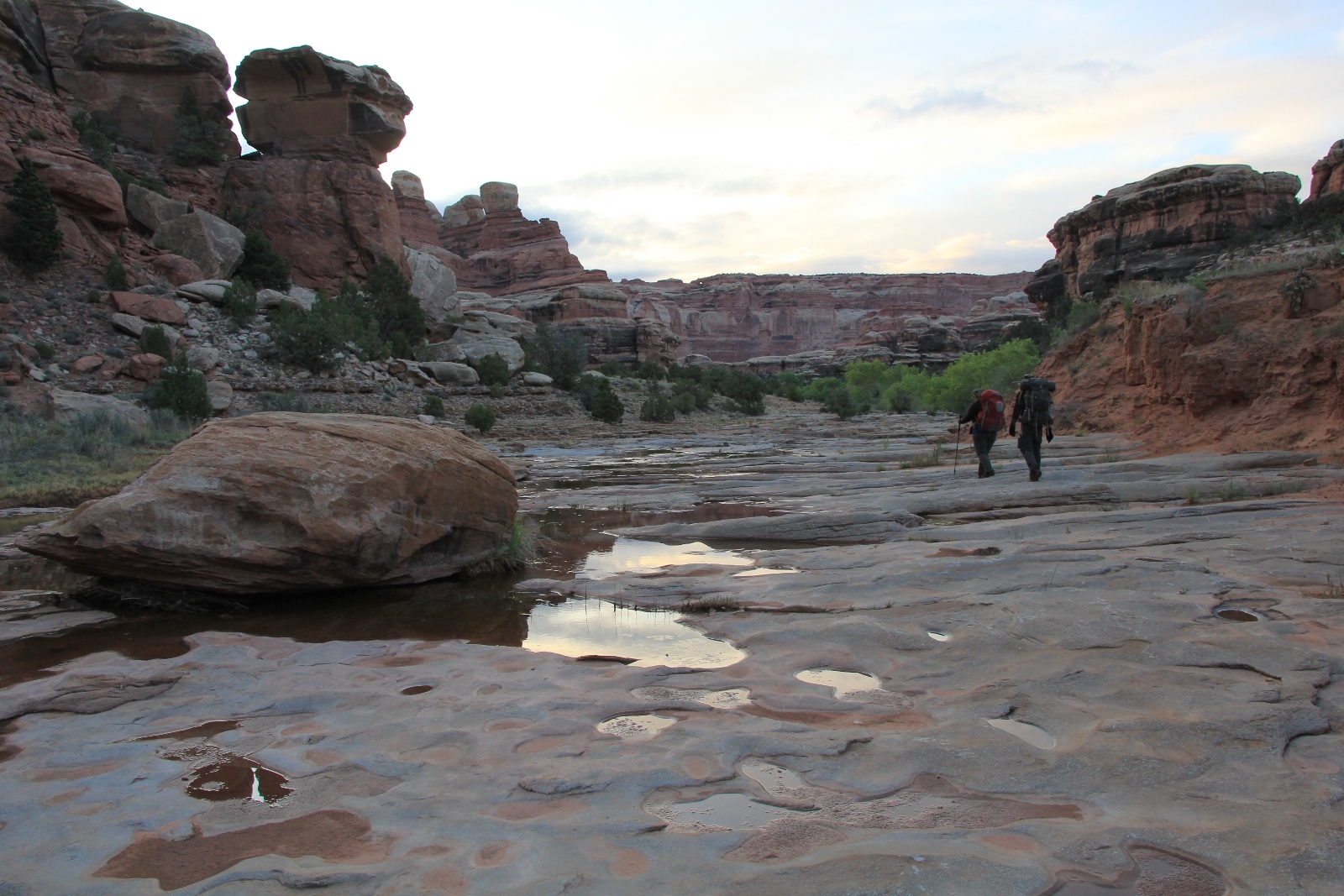 Utah’s Canyonlands National Park Salt Creek Backpack, May 2015 Evans