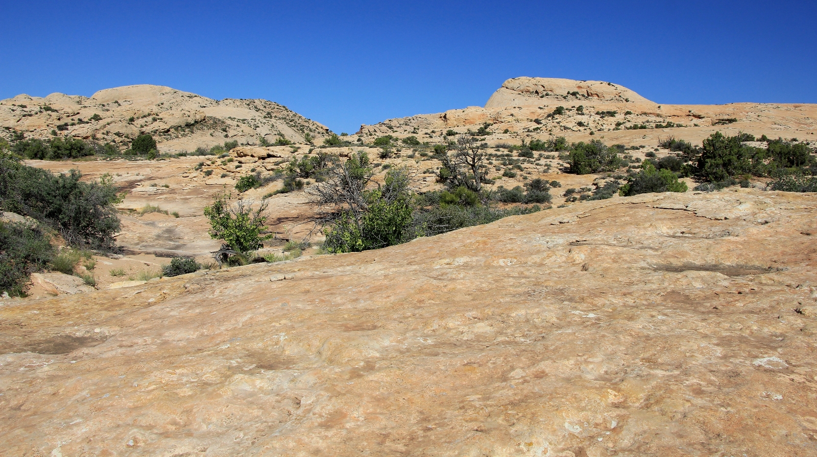 typical view while hiking Comb Ridge