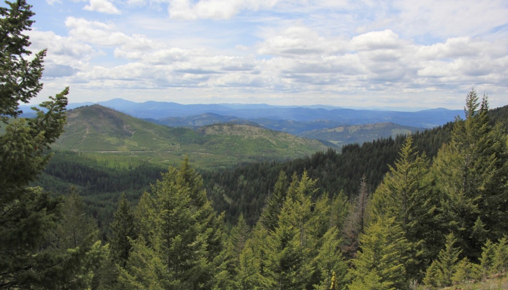 05-24-14 Sherman Pass - Columbia Mtn Hike (27)