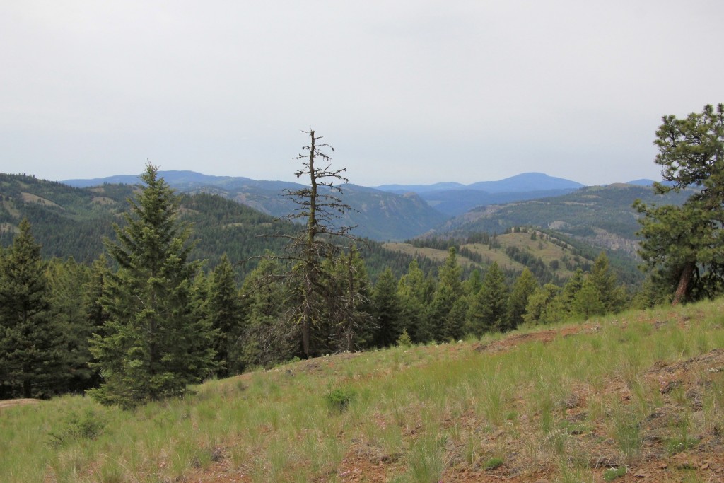 05-25-14 13 Mile Canyon Hike (66)