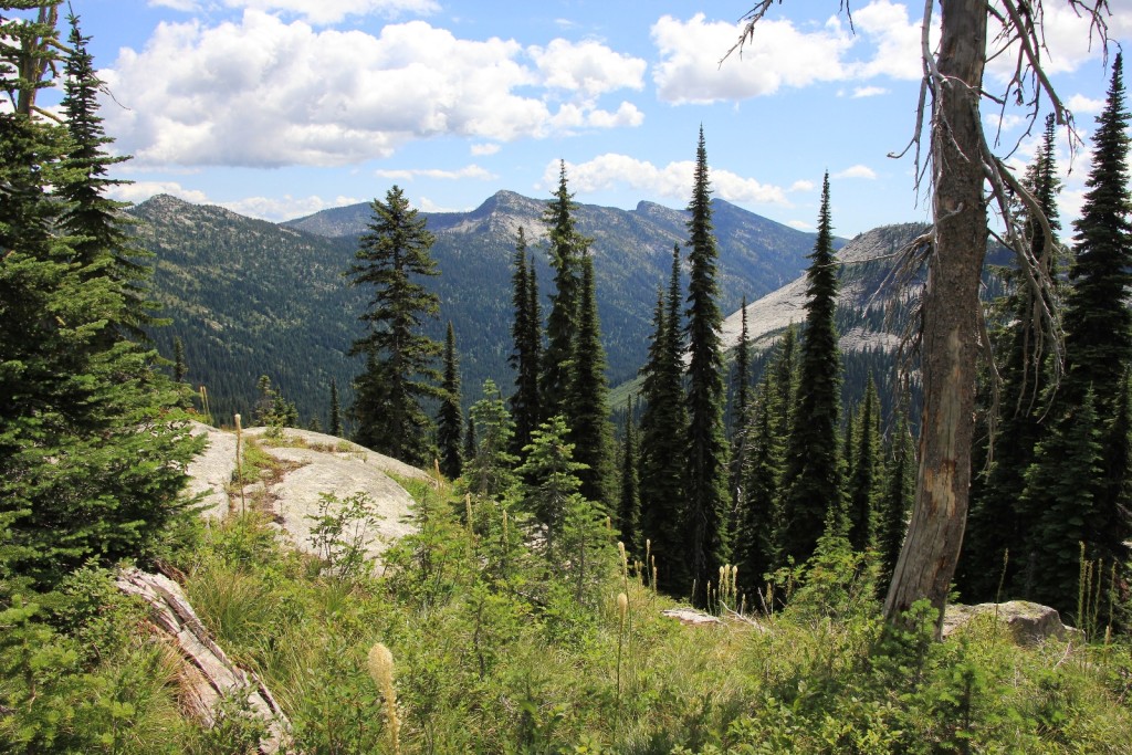 Harrison Lake trail views