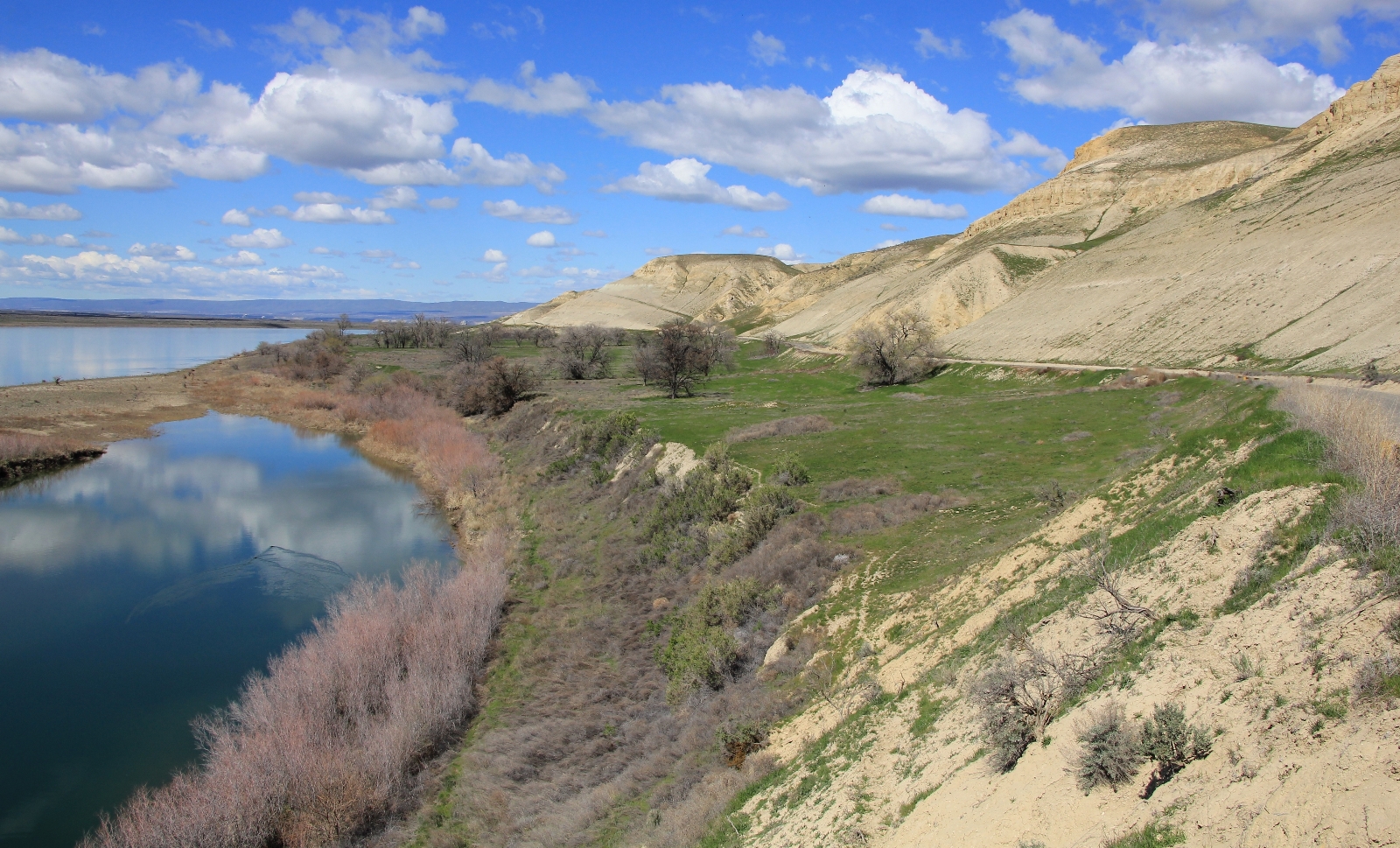 03-25-16 White Bluffs South (29)