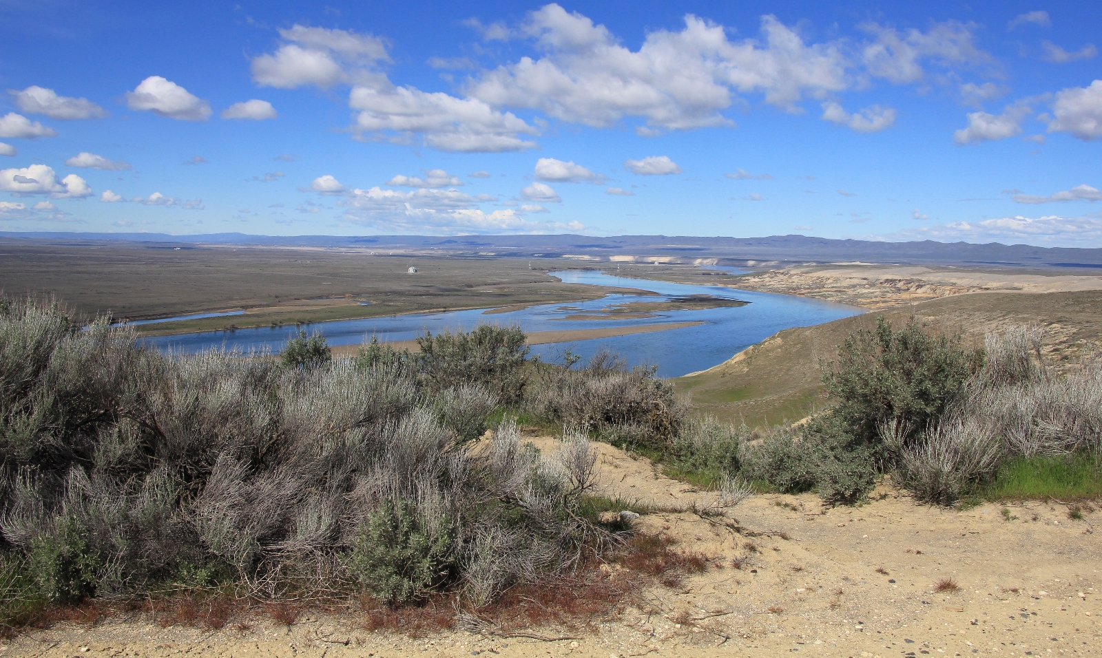 03-25-16 White Bluffs South (7)