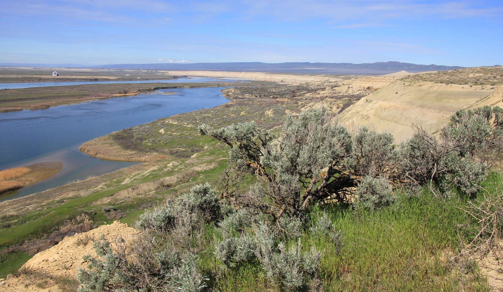 03-26-16 White Bluffs North (68)