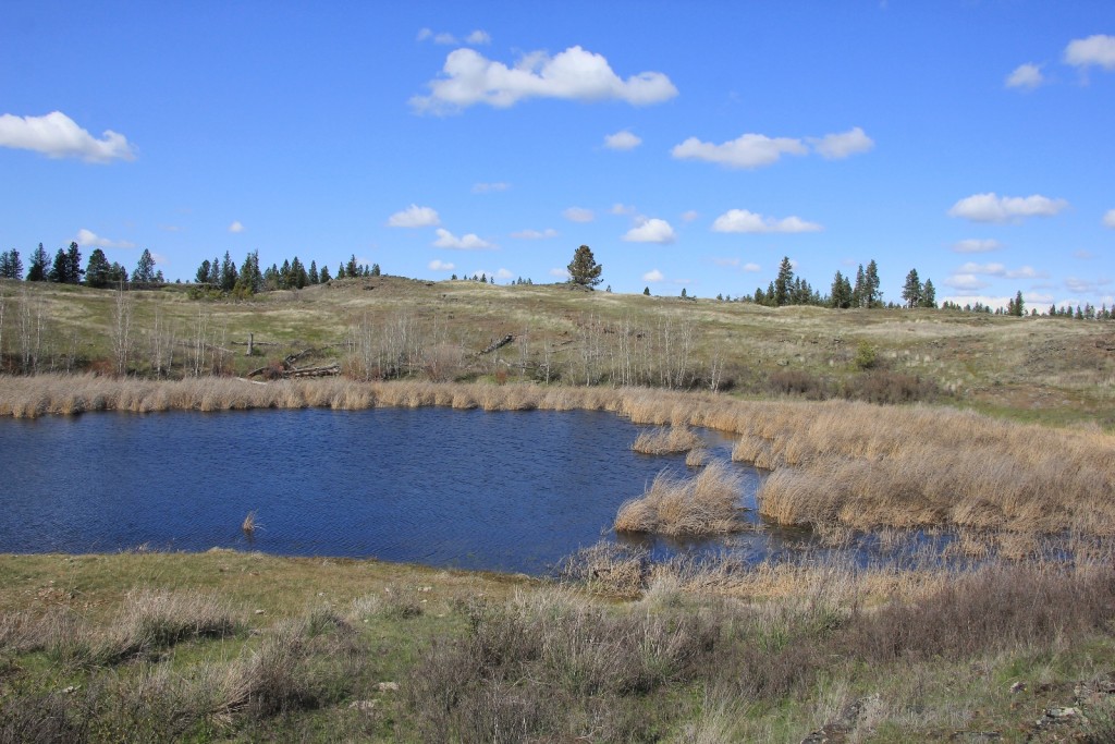 small side lake