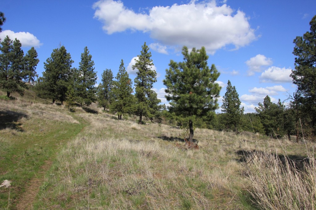 Hog Creek Canyon