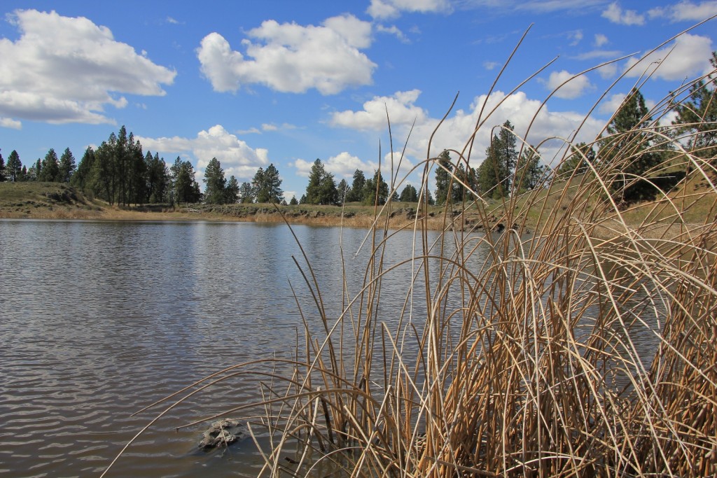 04-12-14 Fishtrap Lake Hike (20)