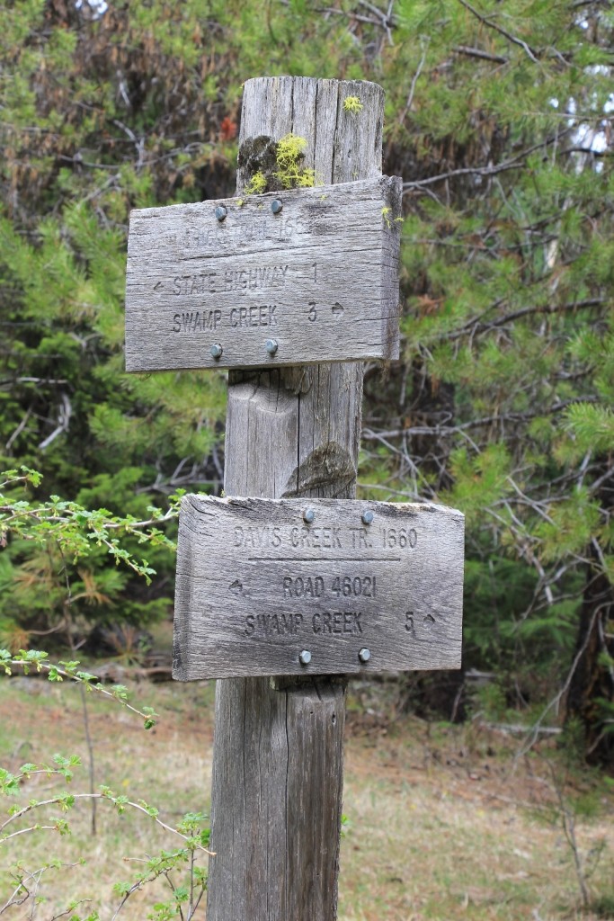 05-03-14 Chico - Davis Creek hike (28)