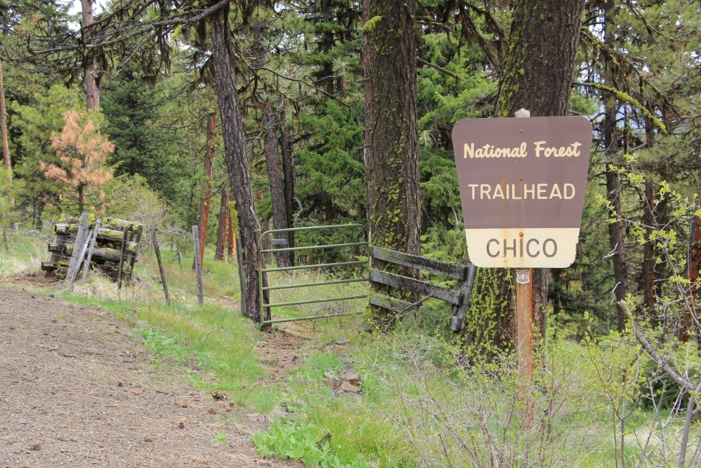 05-03-14 Chico - Davis Creek hike (3)