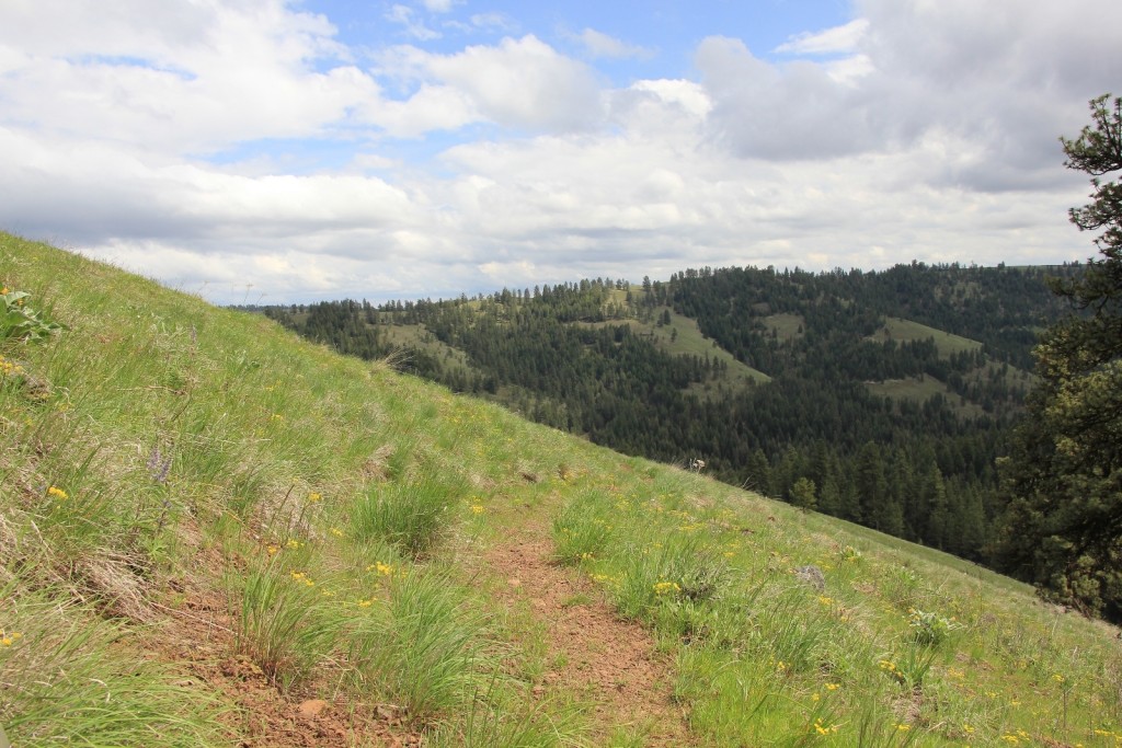 05-03-14 Chico - Davis Creek hike (34)