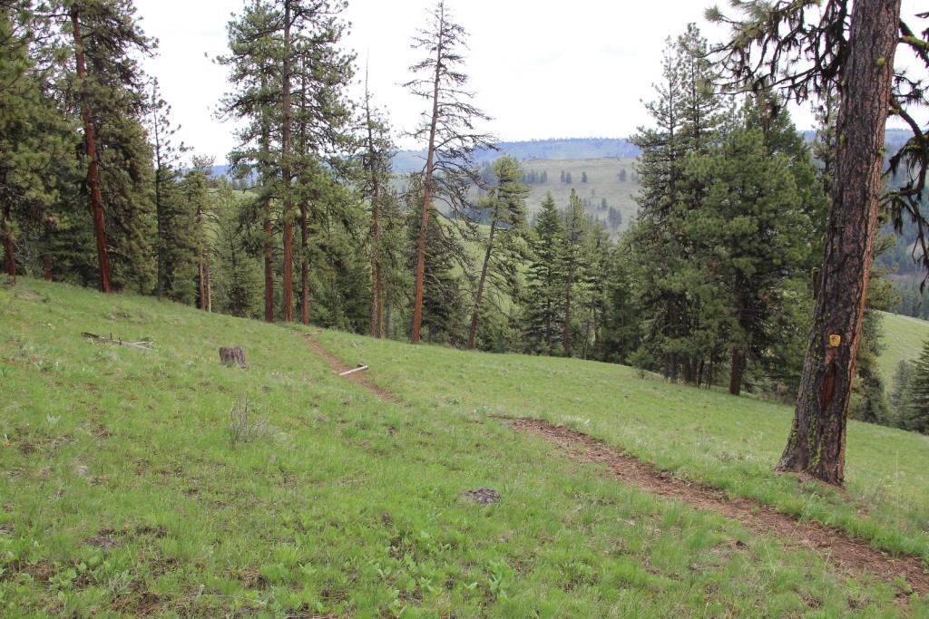 05-03-14 Chico - Davis Creek hike (5)