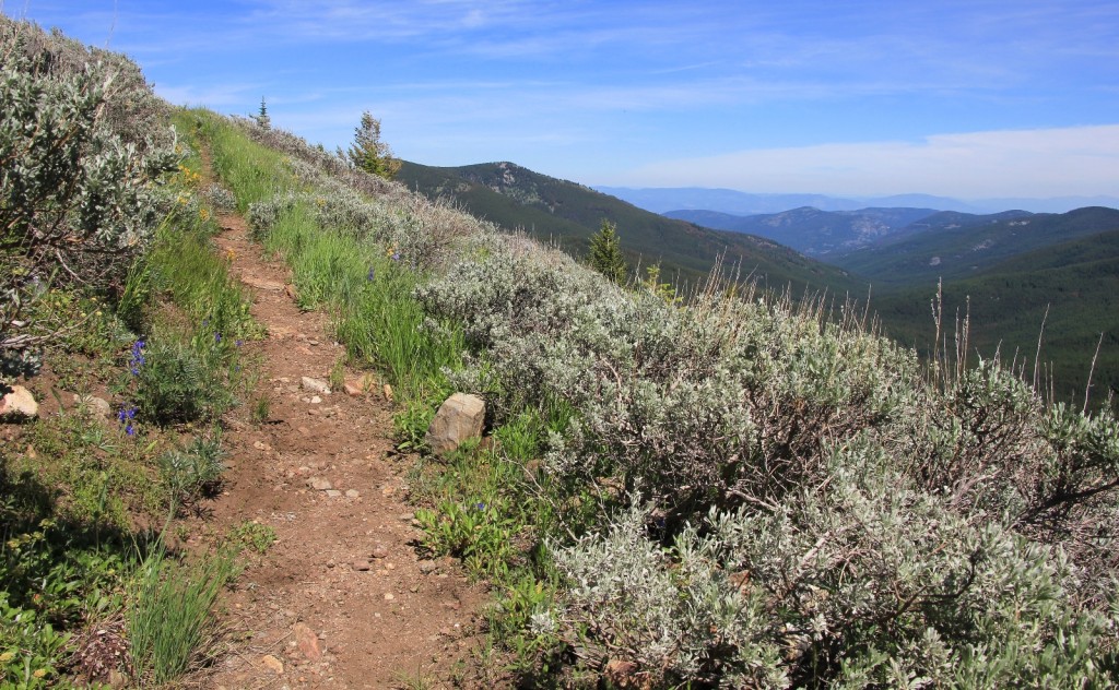 07-04-14 Wapaloosie Trail & camp (8)