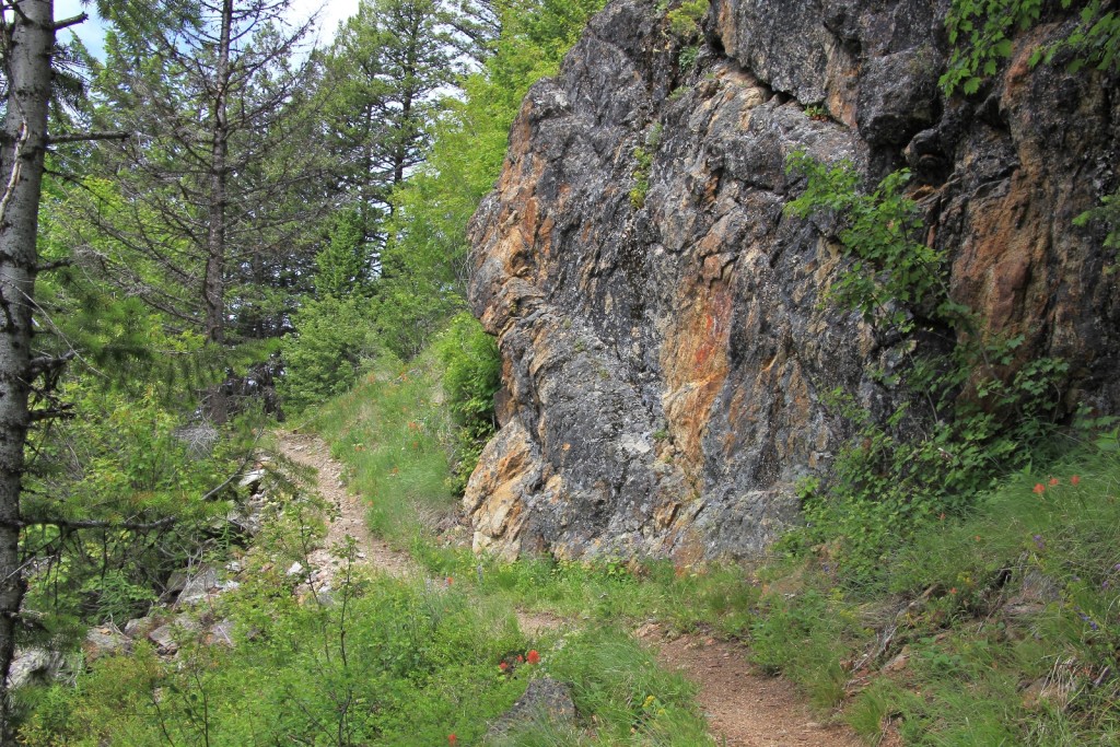 07-05-14 Columbia Lookout & camp (22)