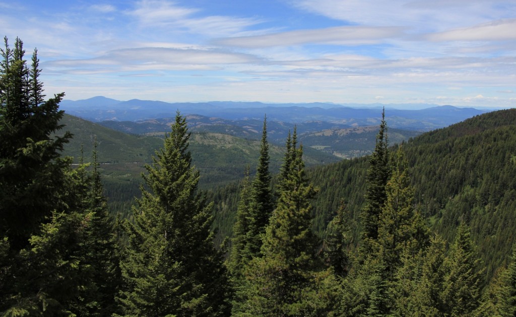 07-05-14 Columbia Lookout & camp (34)